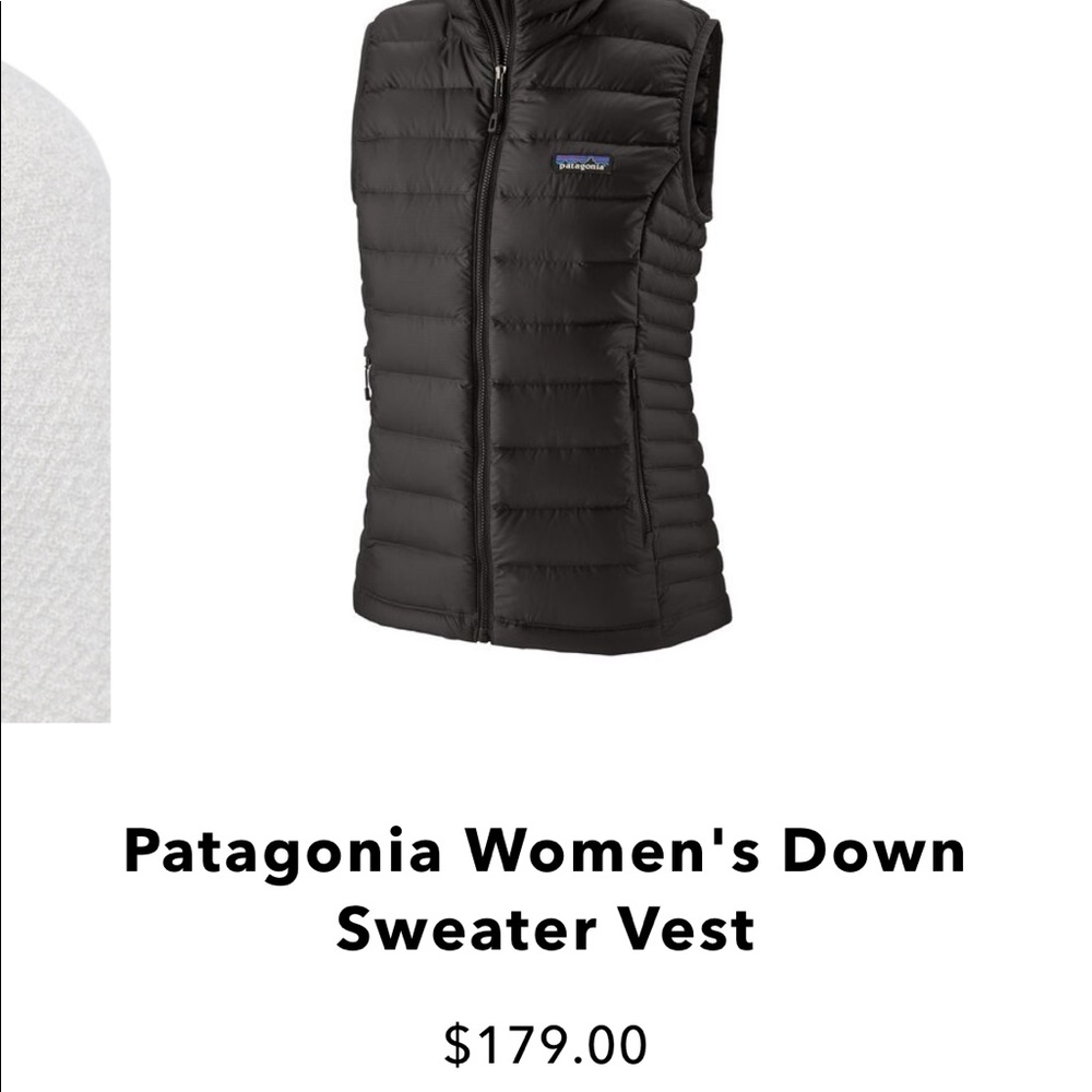 Patagonia down vest